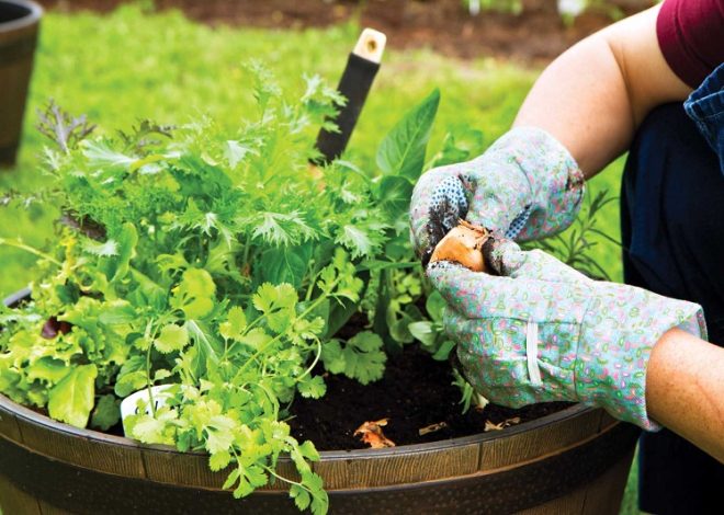 15 gardening tips for beginners