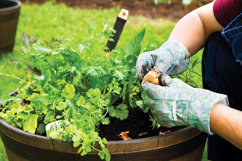 Five Inspiring Gardening Ideas to Transform Your Outdoor Space