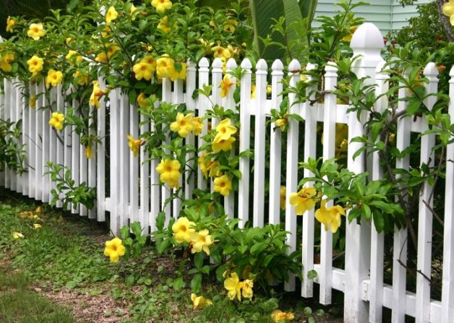 Five Popular Types Of Gardens