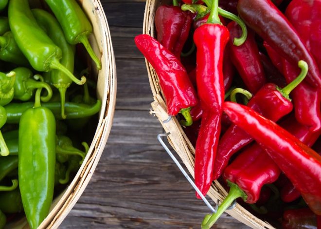 Five Plants You Can Grow For Your Skin Care Routine