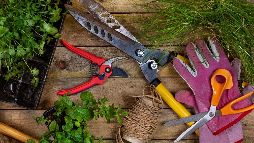 How Do Pruning Shears Work in Gardening Maintenace