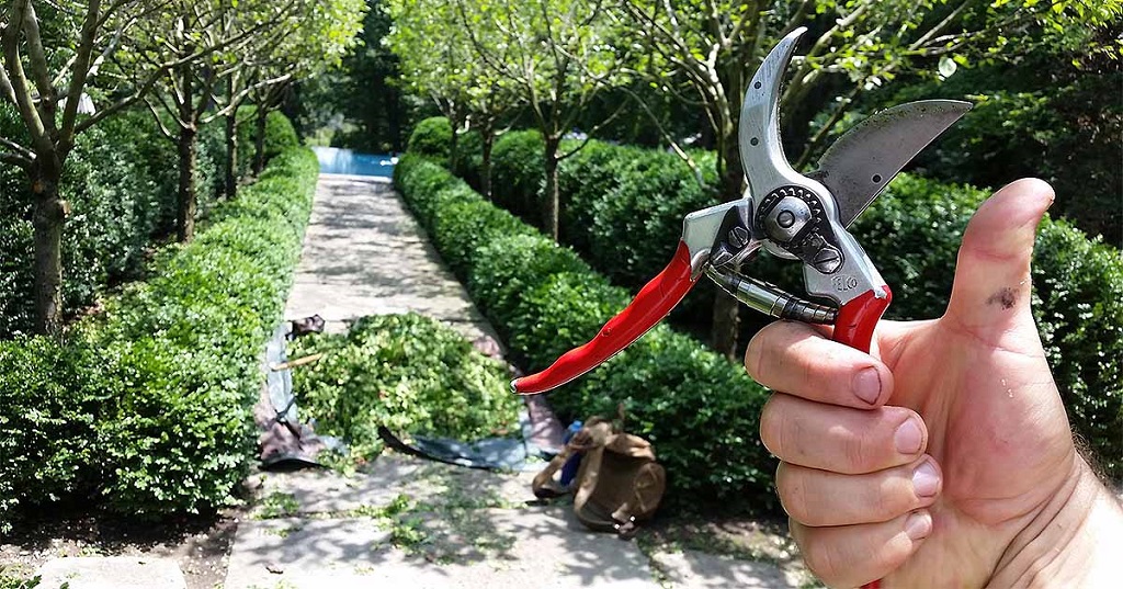 How Pruning Shears Work