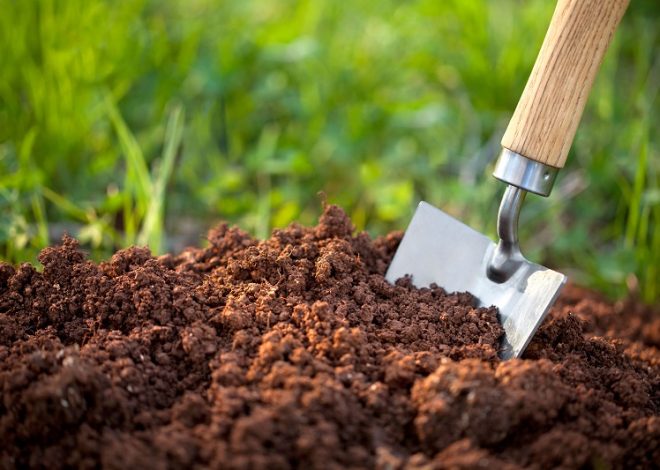 What is the Most Important Tool Every Gardener Should Have?