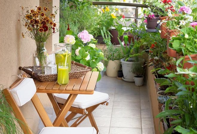 How to Start a Balcony Garden: A Green Adventure Awaits