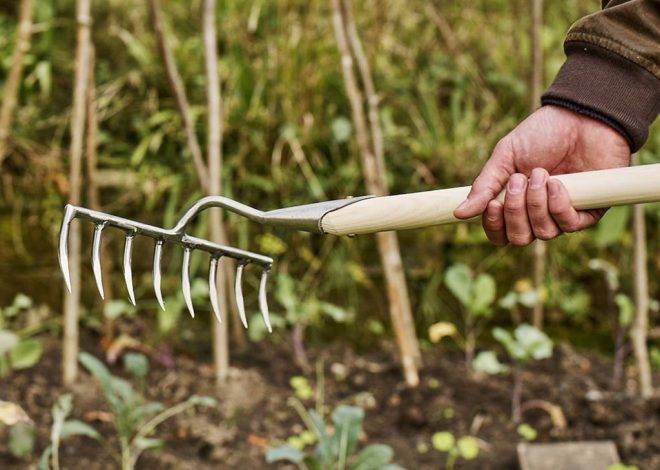 The Ultimate Guide to Heavy-Duty Garden Rakes