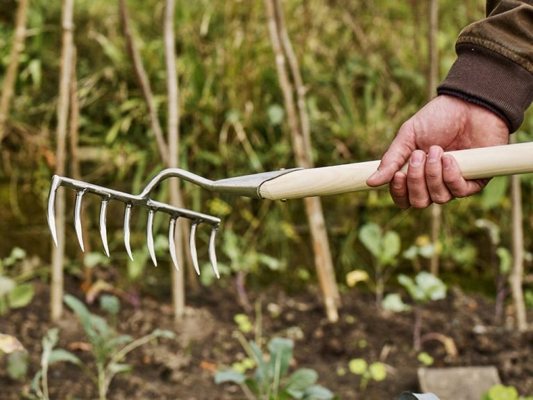 The Ultimate Guide to Heavy-Duty Garden Rakes - Day Nursery