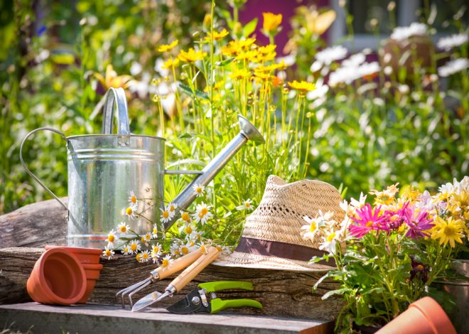Summer Symphony: A Guide to Planting, Growing, and Harvesting Your Delicious Oasis